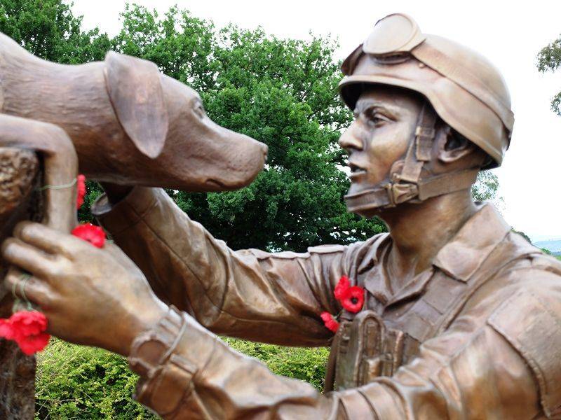 21-November-2015 21-November-2015