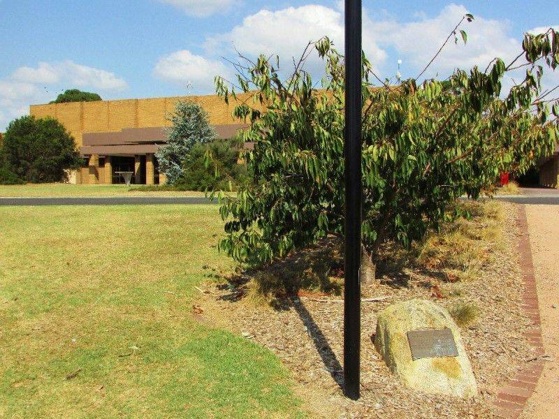 17-March-2019 17-March-2019