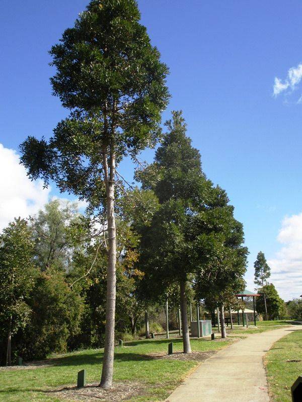 19-July-2015 19-July-2015