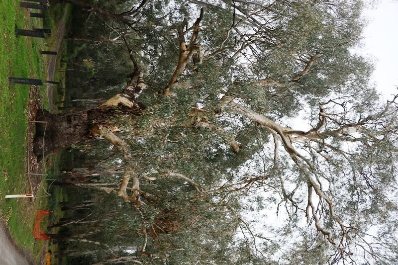 01-June-2023 (John Huth) 01-June-2023 (John Huth)