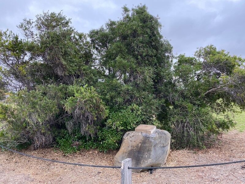 20-March-2023 20-March-2023