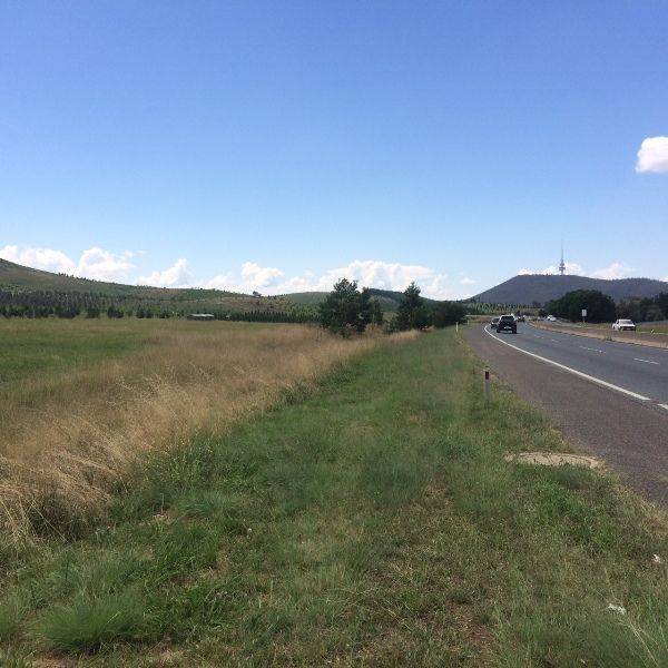 Forest 4: 12-February-2015 Forest 4: 12-February-2015