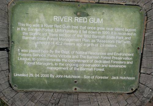 Foresters Monument : 17-July-2012
