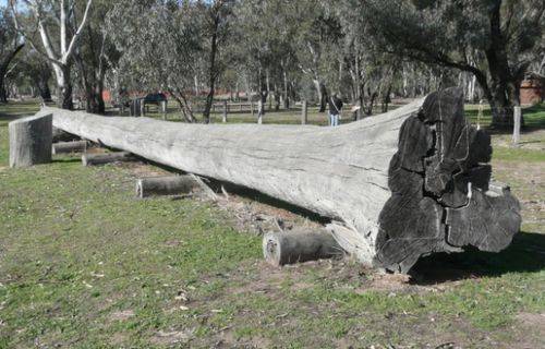 Foresters Monument : 17-July-2012