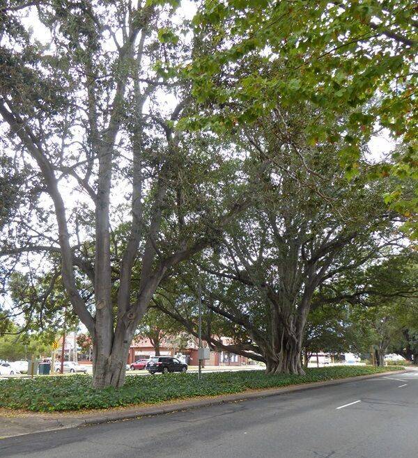 30-March-2021 30-March-2021