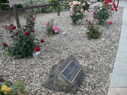 Friendship Force Rose Garden : 02-December-2012 Friendship Force Rose Garden : 02-December-2012