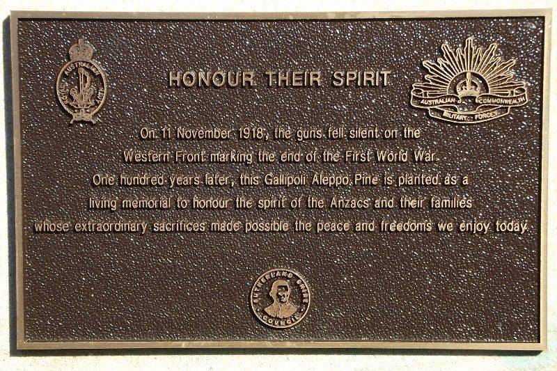 17-January-2019 17-January-2019