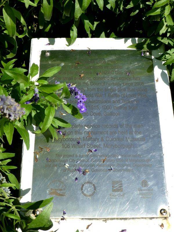 Plaque : 15-December-2014