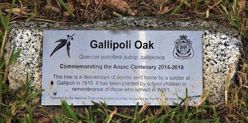 20-February-2022 20-February-2022