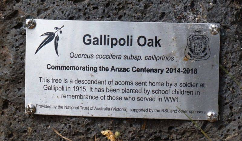 19-November-2016 19-November-2016