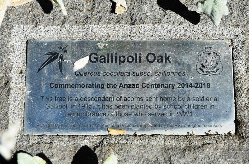 08-May-2017 08-May-2017