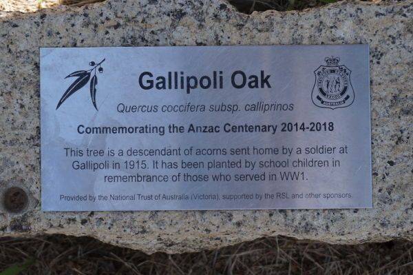 09-December-2017 09-December-2017