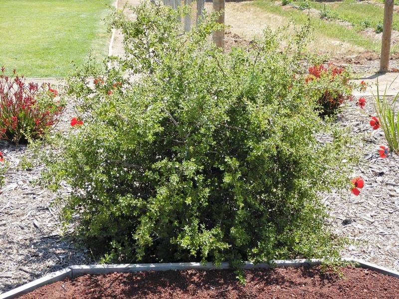 13-November-2019 13-November-2019