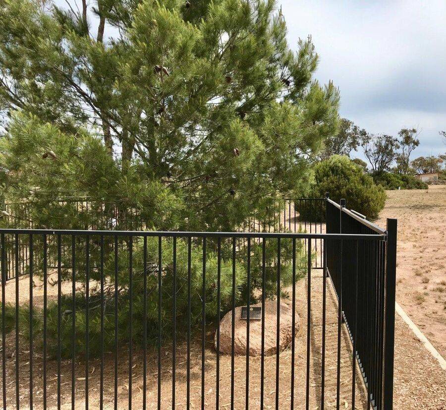 13-February-2021 13-February-2021