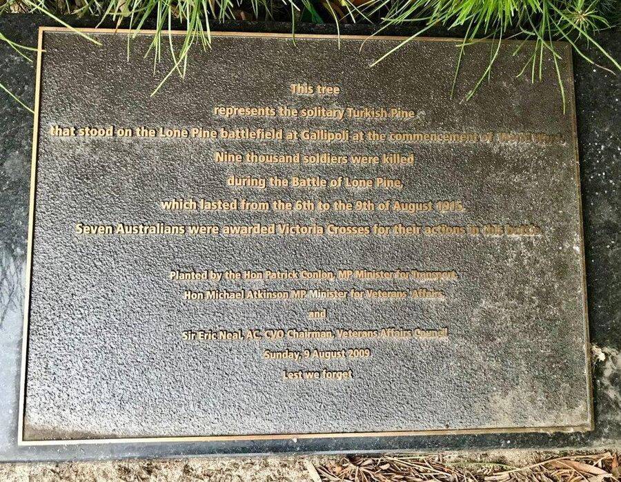 28-November-2020 28-November-2020