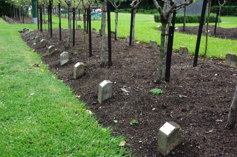 Roses of Picardy 2: 24-January-2016 Roses of Picardy 2: 24-January-2016