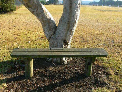 Geelong North Vietnam War Memorial Seat Geelong North Vietnam War Memorial Seat
