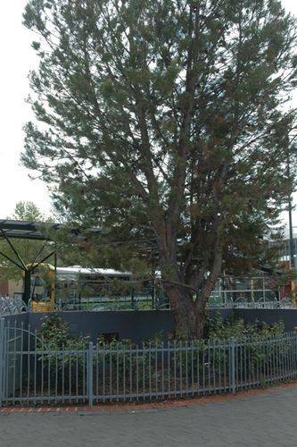 21-October-2013 21-October-2013