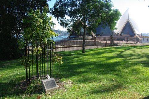 Governor Macquarie Plaque & Tree