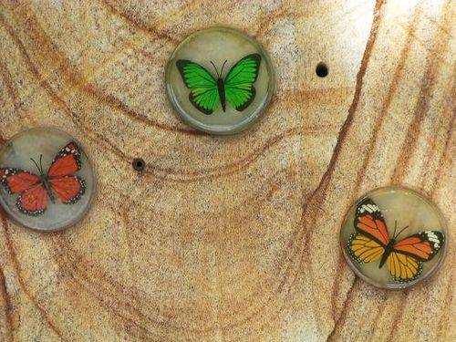 Grantham Flood Memorial Butterflies