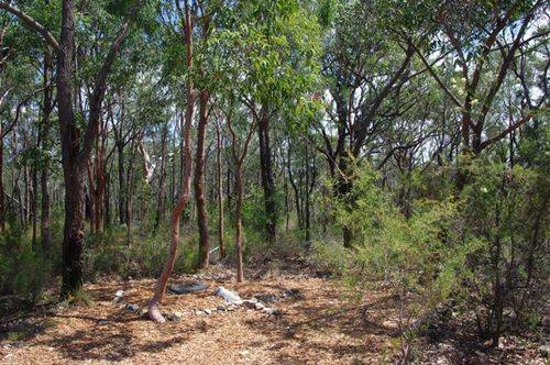 Grays Point Bushfire : 16-February-2013