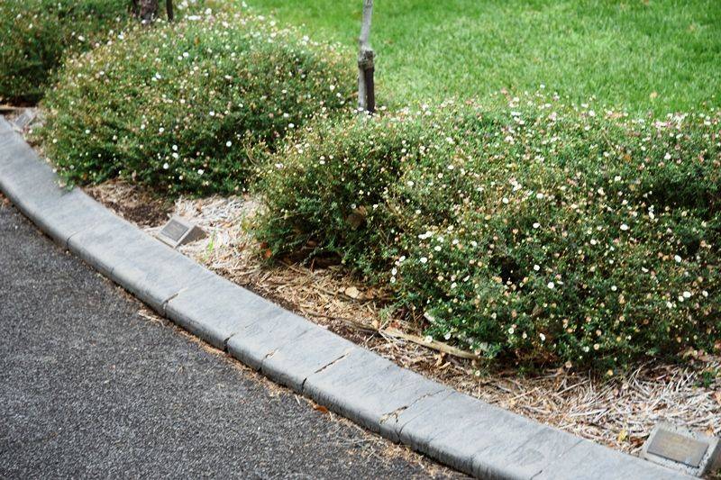 09-May-2017 09-May-2017