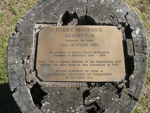 Harry McCormick : 19-July-2012