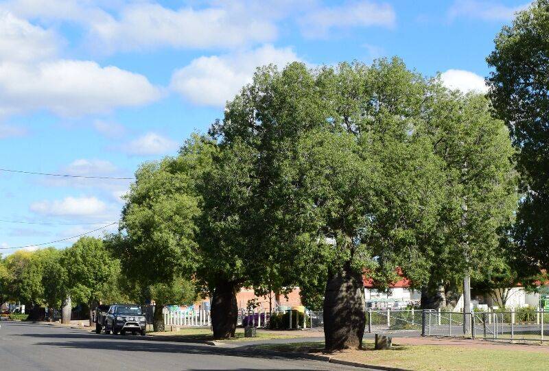 03-July-2021 (Henry Moulds) 03-July-2021 (Henry Moulds)