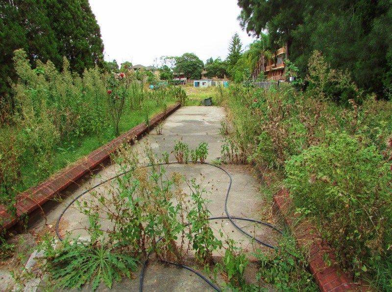 Garden: 11-March-2016