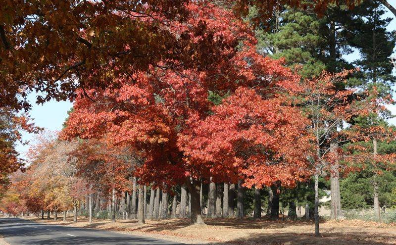 15-April-2019 (John Huth)