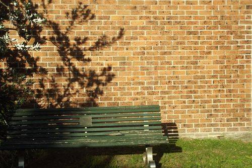 Hope Wolgast Memorial Seat 2 : Feb 2014