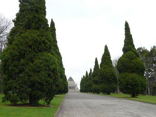 Imperial Camel Corps : 21-September-2011 Imperial Camel Corps : 21-September-2011