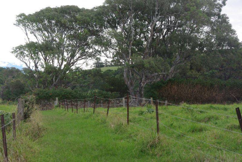 Cemetery 3: 15-May-2016