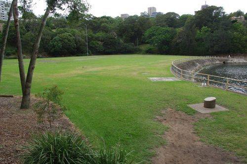 Bugler Playing Field 2 : May 2014