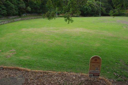 Bugler Playing Field 3 : May 2014