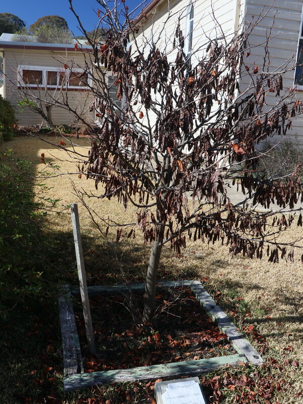 21-June-2023 21-June-2023