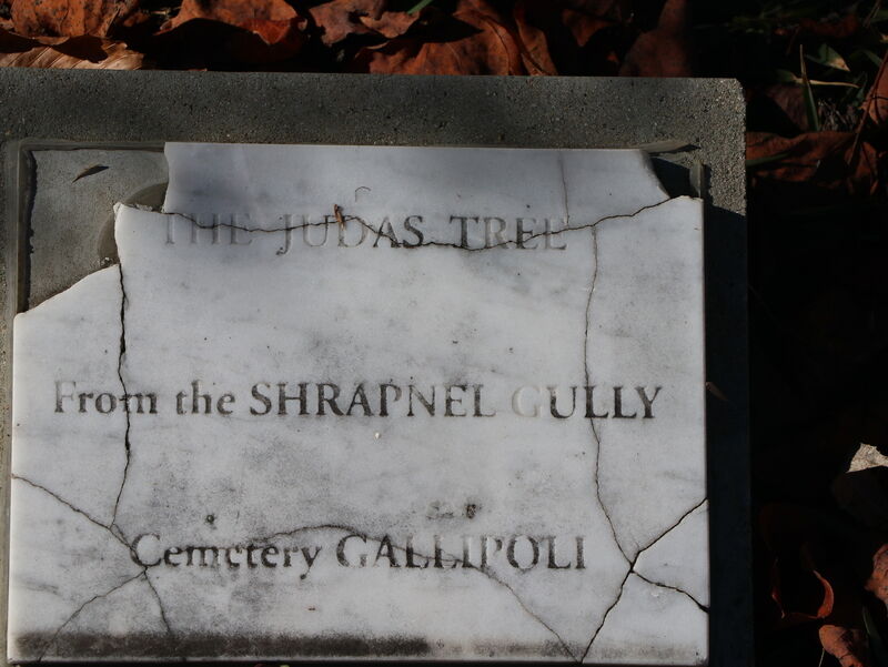 21-June-2023 21-June-2023