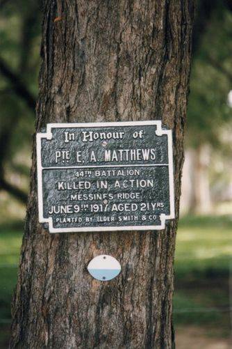 Kings Park Honour Avenue Plaque Kings Park Honour Avenue Plaque