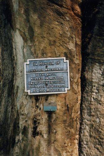 Kings Park Honour Avenue Plaque 2