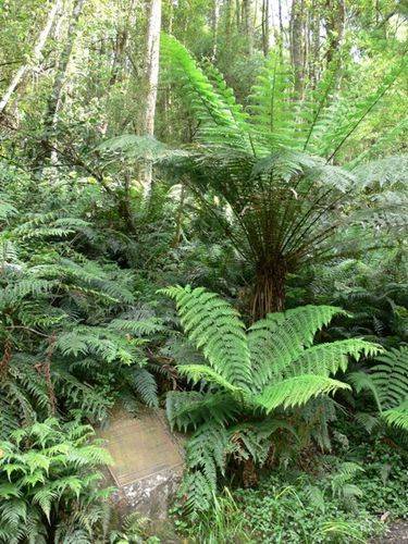 Kokoda Track Memorial Walkway : 09-December-2011 Kokoda Track Memorial Walkway : 09-December-2011