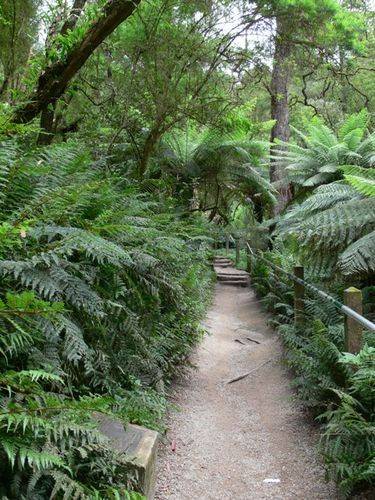Kokoda Track Memorial Walkway : 09-December-2011 Kokoda Track Memorial Walkway : 09-December-2011