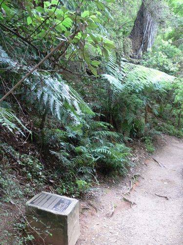 Kokoda Track Memorial Walkway : 09-December-2011 Kokoda Track Memorial Walkway : 09-December-2011
