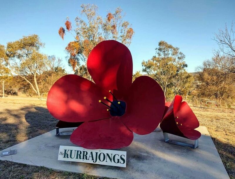 17-August-2023 (Sandra Brown)