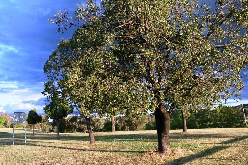 04-October-2017 (John Huth) 04-October-2017 (John Huth)