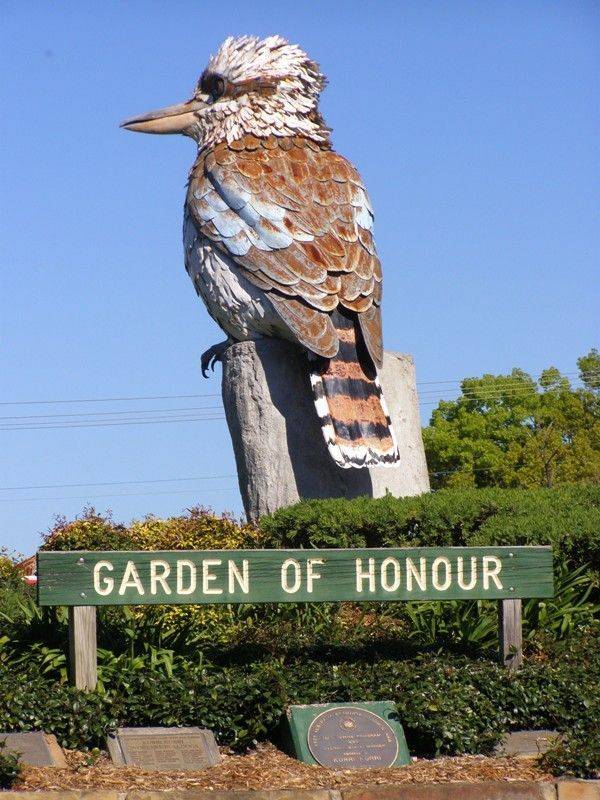 Kurri Kookaburra 2 : 11-September-2014