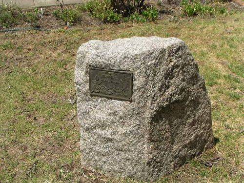 Leeann Pratt Memorial