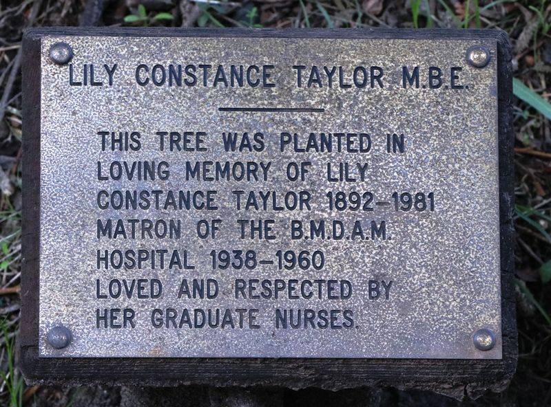 26-January-2020 26-January-2020