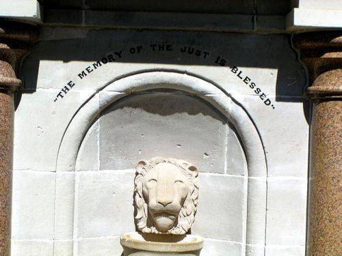 Lion Closeup