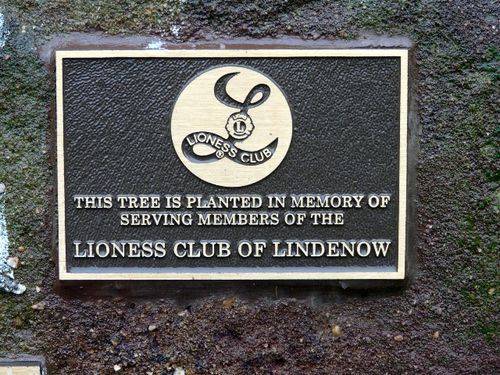 Lioness Club : 18-August-2011