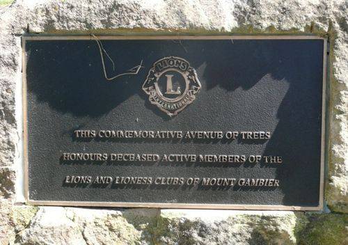 Lions Avenue of Trees : 02-December-2012